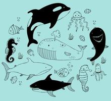 Set sea animals. Cute big whale killer whale and shark, seahorse and dolphin, jellyfish and squid, fish and shells. Vector illustrations in hand-drawing linear doodles for design and decor.