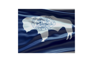 Wyoming state map outline icon. PNG alpha channel. USA State flag