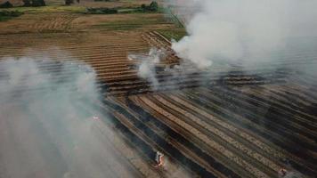 Fly over smoke during open fire video