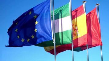 europeo banderas ondulación en el viento video