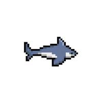 a shark in pixel art style vector