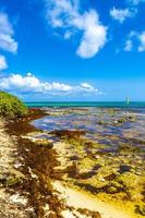 Turquoise green blue water with stones rocks corals beach Mexico. photo