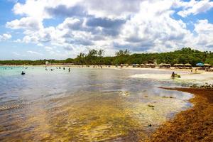 Playa del Carmen Quintana Roo Mexico 2021 Beautiful Caribbean beach totally filthy dirty nasty seaweed problem Mexico. photo