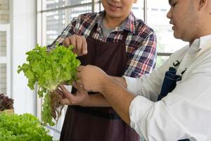 Asian Greengrocer Selling Fresh Organic Green Lettuce on Local Market photo