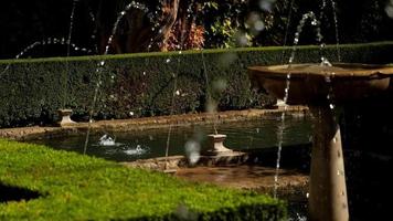 Generalife gardens in La Alhambra video
