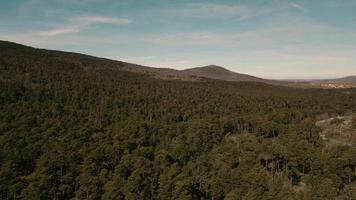 Antenne Aussicht von das Wald von Navacerrada im Madrid video
