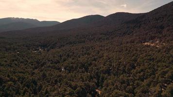 hotel recurso en el bosque video