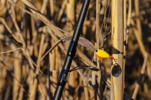 Fishing spinning with a spinner on the background of reeds. photo