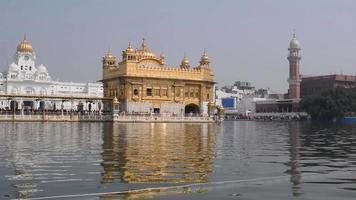 mooi visie van gouden tempel - Harmandir sahib in amritsar, punjab, Indië, beroemd Indisch Sikh mijlpaal, gouden tempel, de hoofd heiligdom van sikhs in amritsar, Indië video