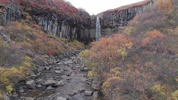 increíble ver de svartifoss cascada con basalto columnas en sur Islandia
