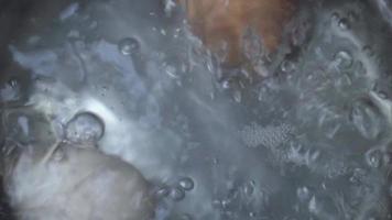 frango ovos estão fervido dentro ebulição água. video