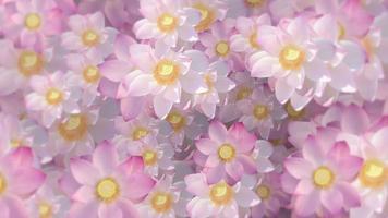 bellissimo floreale movimento sfondo animazione con sacro rosa e bianca loto fiori in movimento delicatamente nel pieno fioritura. video
