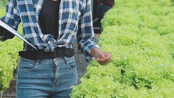 Senior Erwachsene Paar pflücken Gemüse von Hinterhof Garten video