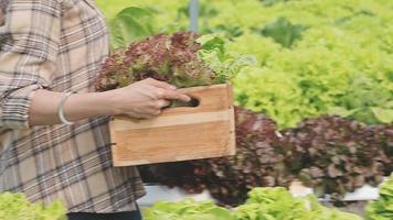 Friendly team harvesting fresh vegetables from the rooftop greenhouse garden and planning harvest season on a digital tablet video