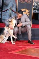 Will Smith with the dog who costarred in I Am LegendWill Smith Handprint and Footprint Ceremony Graumans Chinese Theater ForecourtDecember 10 2007Los Angeles CA2007 photo