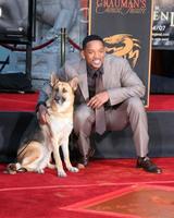 Will Smith with the dog who costarred in I Am LegendWill Smith Handprint and Footprint Ceremony Graumans Chinese Theater ForecourtDecember 10 2007Los Angeles CA2007 photo