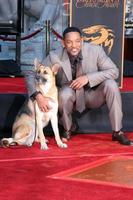 Will Smith with the dog who costarred in I Am LegendWill Smith Handprint and Footprint Ceremony Graumans Chinese Theater ForecourtDecember 10 2007Los Angeles CA2007 photo