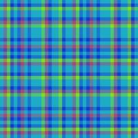Vector plaid textile. Check background texture. Fabric tartan seamless pattern.