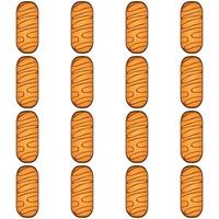 Pattern homemade cookie different taste in pastry biscuit vector