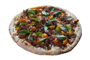 Sol seco carne pizza, carne espasmódico png