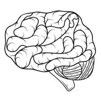 human brain, black outline, isolated vector illustration in doodle style