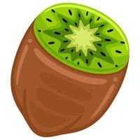 kiwi vector illustration