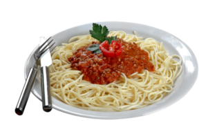 Spaghetti with bolognese sauceSpaghetti with bolognese sauce