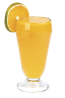 utsökt frukt juicer png