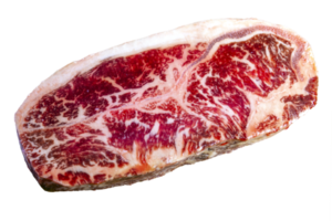 wagyu filete crudo Fresco carne