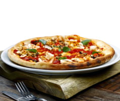 Seafood pizza with shrimp, squid, shellfish png