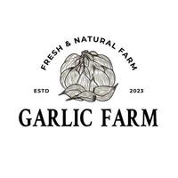 Garlic Logo. Hand drawn engraving style illustrations. vector