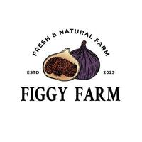 Figs Farm Round Frame Badge or Logo Template. Hand Drawn Fruits Sketch vector