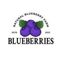 Blueberry logo. Round linear logo of organic blueberry on white background vector