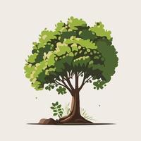 un árbol con un verde hoja en un blanco antecedentes. vector