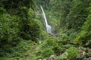 Scenery of single water fall on the tropical forest. The photo is suitable to use for adventure content media, nature poster and forest background.