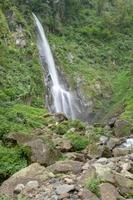 Scenery of single water fall on the tropical forest. The photo is suitable to use for adventure content media, nature poster and forest background.