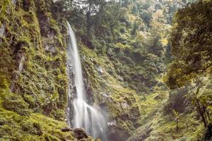 Scenery of single water fall on the tropical forest. The photo is suitable to use for adventure content media, nature poster and forest background.