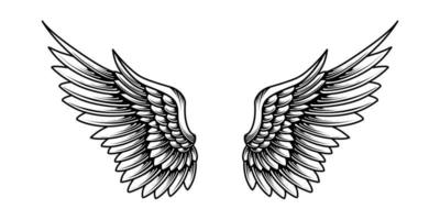 free vector angel wings illustration design