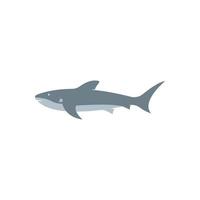 Shark illustration logo vector