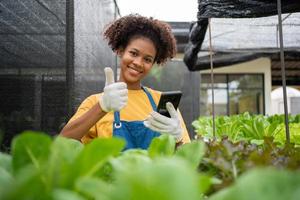 retrato de contento medio tailandés medio africano mujer granjero en pie detrás un vegetal trama y utilizando teléfono inteligente para cheque orden. concepto de agricultura orgánico para salud, vegano comida y pequeño negocio. foto