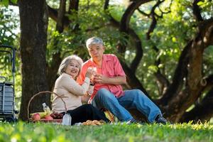 Happy old elderly couple spouses relaxing and sitting on a blanket in the park and sharing few precious memories. Senior couple having great time together on a picnic. concept of mature relationships photo