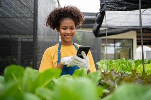 Portrait of happy half-Thai half African woman farmer standing behind a vegetable plot and using smartphone for check order. Concept of agriculture organic for health, Vegan food and Small business. photo