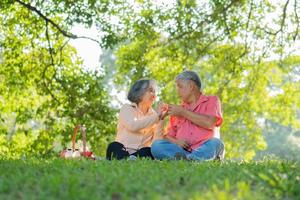 Happy old elderly couple spouses relaxing and sitting on a blanket in the park and sharing few precious memories. Senior couple having great time together on a picnic. concept of mature relationships photo