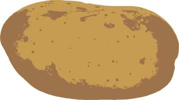 raw potato isolated vector