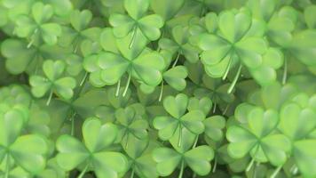 Saint patricks journée Contexte avec doucement en mouvement vert trèfles et particules. cette texturé mouvement Contexte est plein HD et une sans couture boucle. video