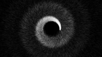 elegante negro y blanco espiral de partículas antecedentes. blanco partículas en espiral y radiante hacia fuera. esta minimalista movimiento antecedentes animación es lleno hd y un sin costura bucle. video