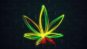 glühend Neon- Licht Cannabis Blatt Animation im Grün, rot und Gelb Rastafari Flagge Farben mit fließend Partikel. diese Rasta Bewegung Hintergrund ist voll hd und ein nahtlos Schleife. video