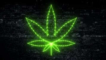 Flickering green neon light cannabis leaf background animation. Full HD and looping motion background. video