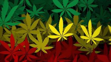 Trippy psychedelic cannabis leaf background animation in the rastafarian flag colors of green, yellow and red. Full HD and looping rasta style motion background. video