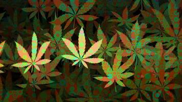 trippy Cannabis Blatt Hintergrund Animation mit blinkt psychedelisch Kreise. voll hd und Schleifen Bewegung Hintergrund. video